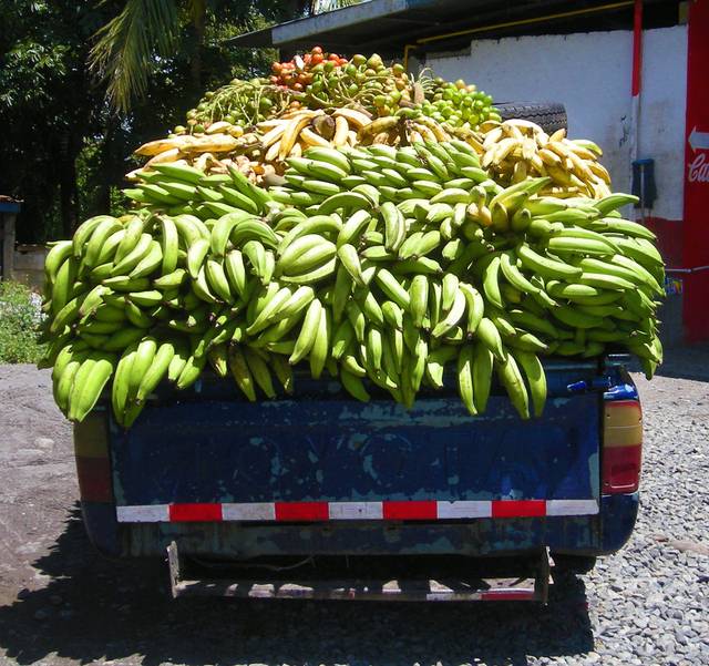 Banane : variétés, conseils d'achat et recettes