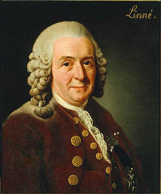 Carl Von Linné