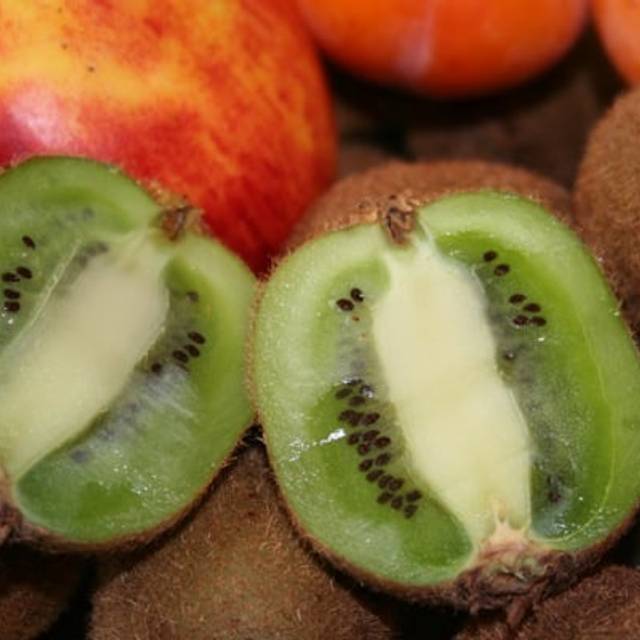 Kiwi Solissimo - fruits - copyright Plantipp