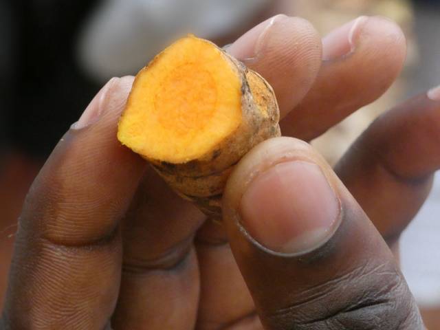 Chair orange vif du rhizome de curcuma