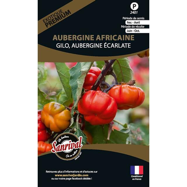 Aubergine n’goyo ou gilo (solanum aethiopicum) (sachet)