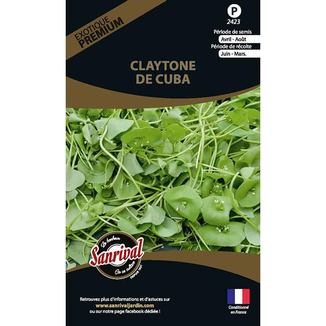 Claytone de cuba (pourpier d’hiver) (sachet)