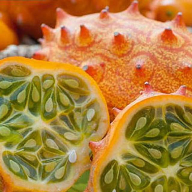 Concombre cornu d’afrique « kiwano »