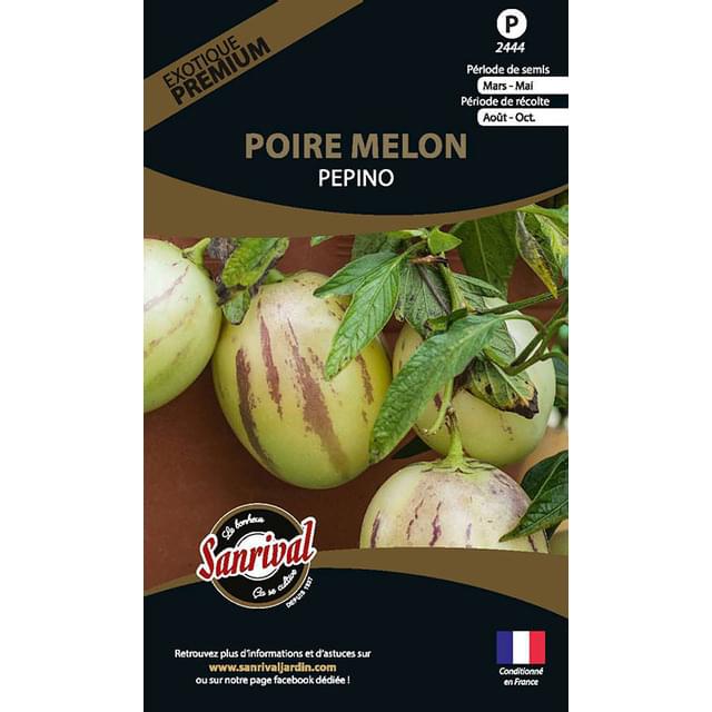 Poire melon pepino (solanum muricatum) (sachet)