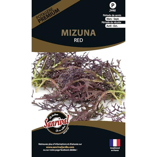 Brassica japonica mizuna red (sachet)