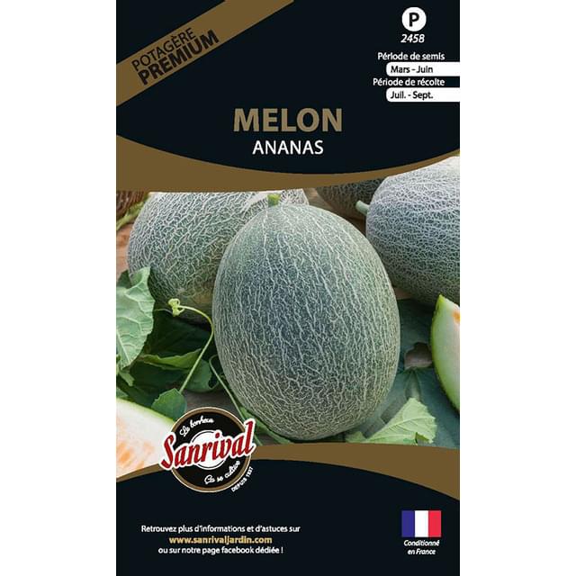 Melon ananas (sachet)