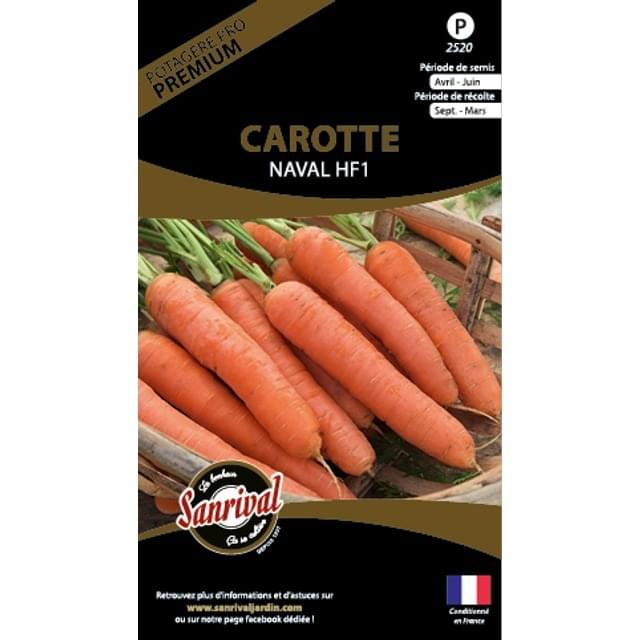 Carotte naval f1 (sachet)