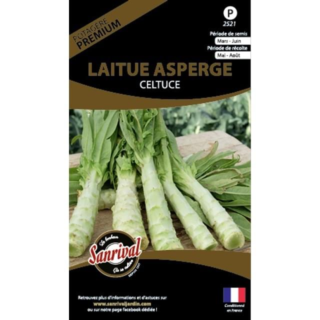 Laitue asperge celtuce (sachet)