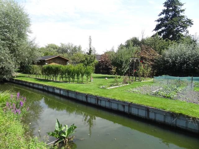 Petit potager dans les hortillonnages