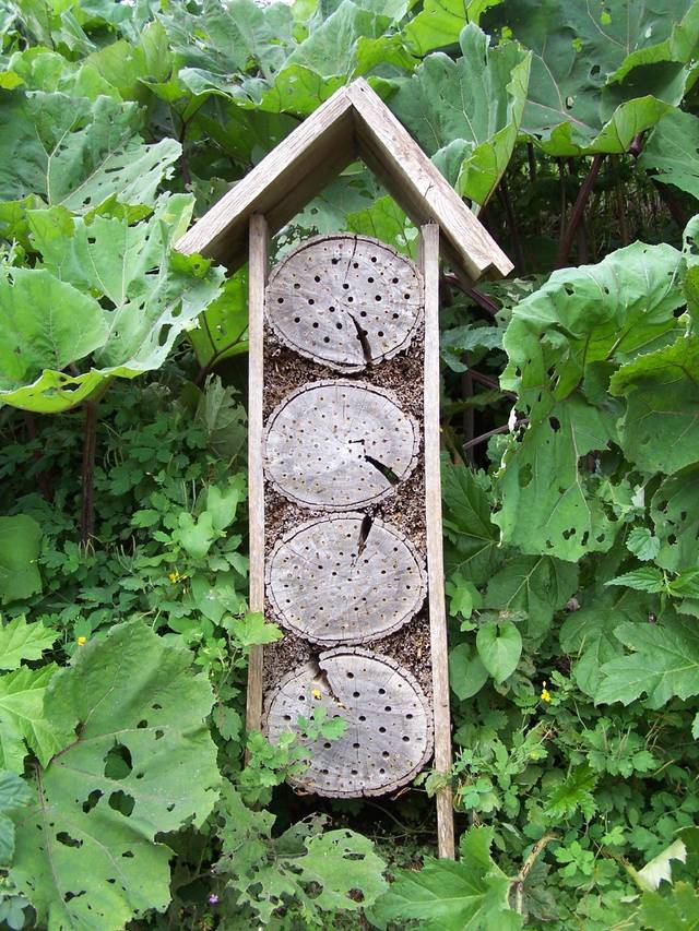 L'intérêt d'un hôtel à insectes dans votre jardin - Les Carnets de