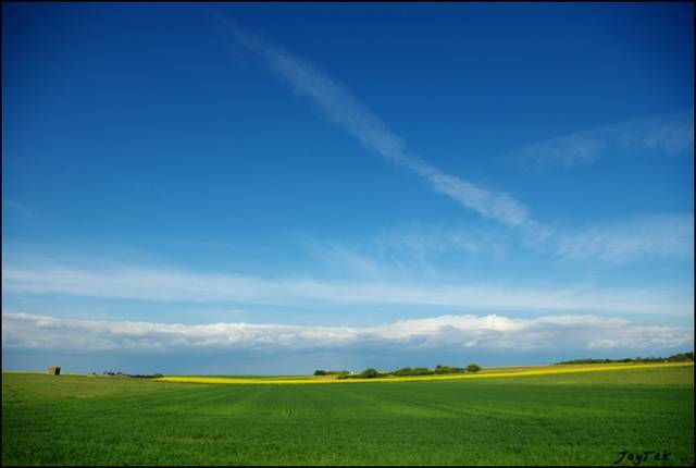 Agriculture intensive : disparition des haies