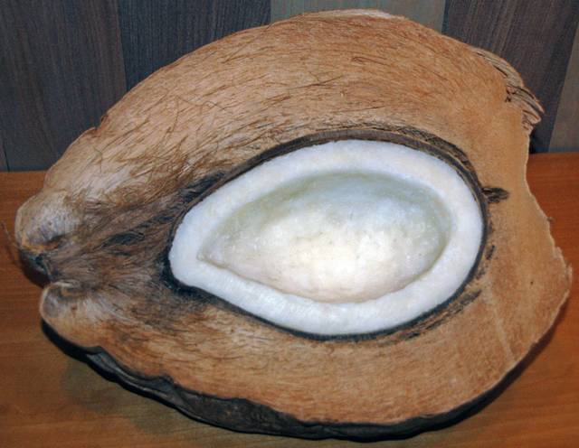 Noix de coco en coupe