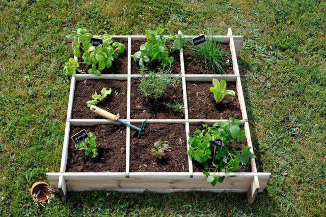 Décor' Jardin - [ CARRÉ POTAGER ] Vous habitez en ville ou possédez un  espace extérieur réduit, et vous rêvez pourtant de cultiver votre potager ?  👨‍🌾 Le carré potager est une