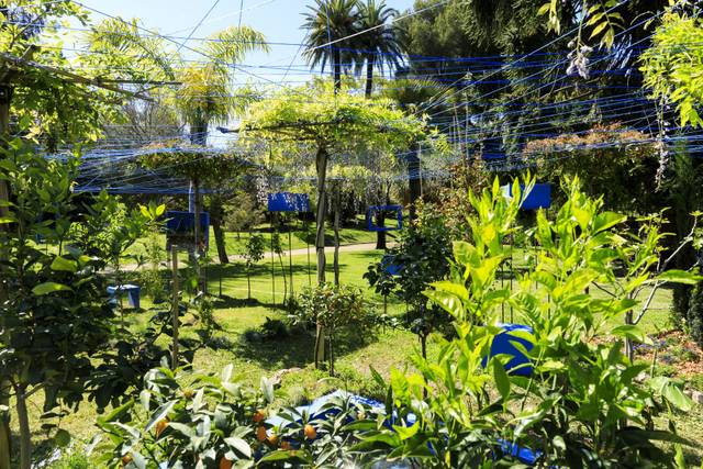 Complantation  Contemplation 