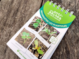 Reconnaître les plantules : les anti-sèches de Terre Vivante