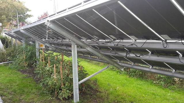 Culture de tomates sous des panneaux solaires