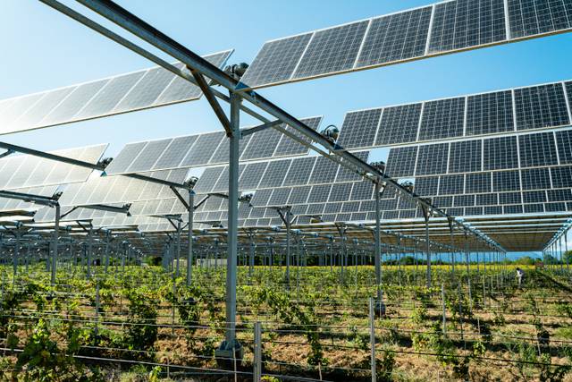 Agrivoltaïsme et vignes