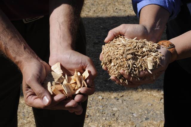 Déchets de bois (copeaux, résidus) pour pellets