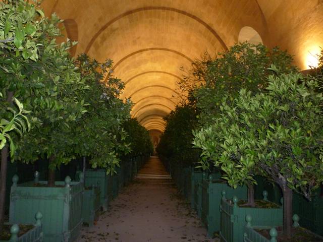 Orangerie du château de Versailles - Aurore Tsrd / flickr.com