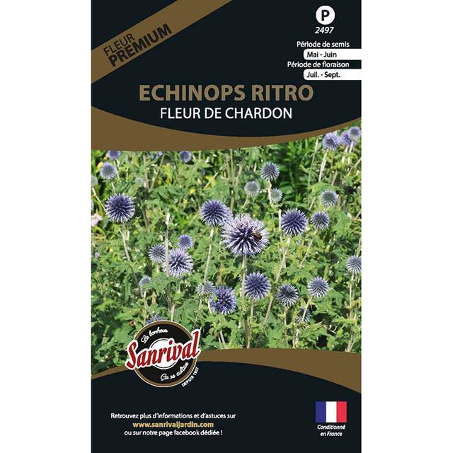 Echinops ritro (sachet)