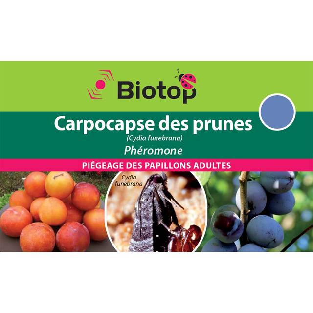 Phéromone Carpocapse Prune - Piège Naturel Pour Pruniers, Traitement Sans Produits Chimiques