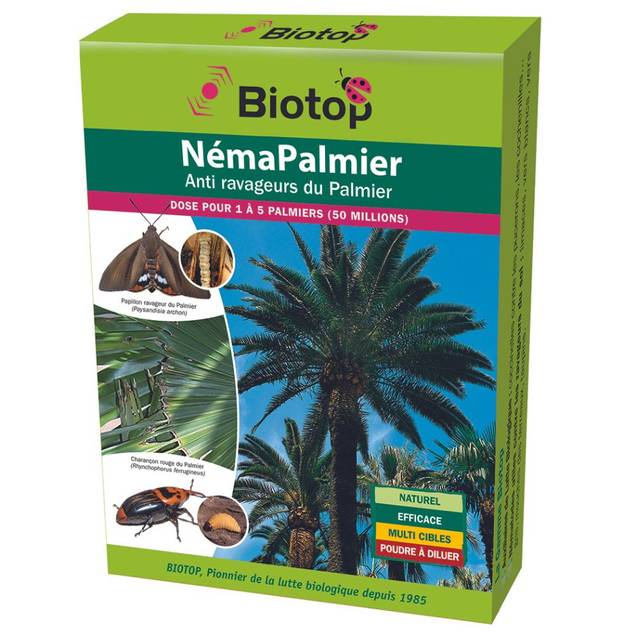 NÉMAPALMIER contre les ravageurs sur Palmier - BIOTOP - 50 millions