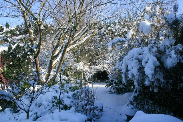 Jardin sous la neige l'hiver