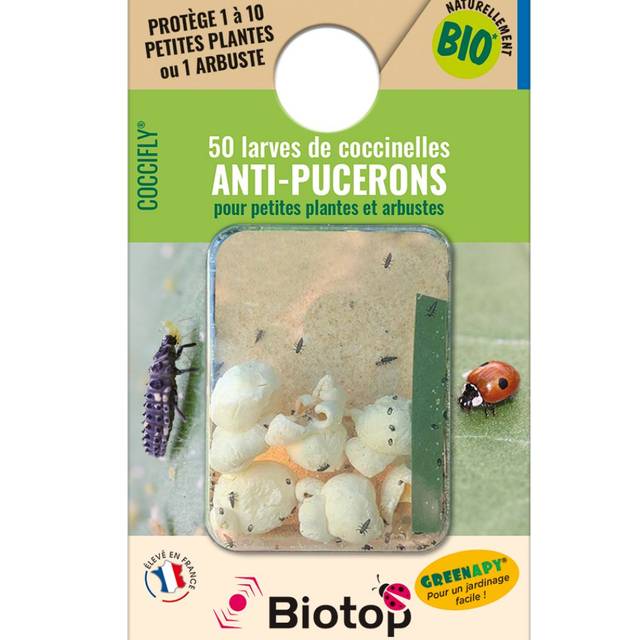 Coccifly coccinelles anti-pucerons BIOTOP - 50 larves - présentation n°1