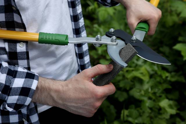 Comment affûter les outils de jardin ?