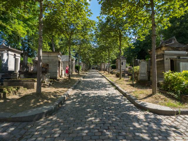 Une allée arborée du cimetière du Père Lachaise, bordée de marronniers. En 2050, cette espèce sera à risque dans les villes de Paris, Lyon, Bordeaux et Montpellier.