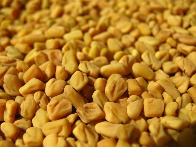 Découvrez les bienfaits de la poudre de graines de fenugrec bio