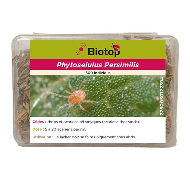 Phytoseiulus contre les Araignées rouges - BIOTOP