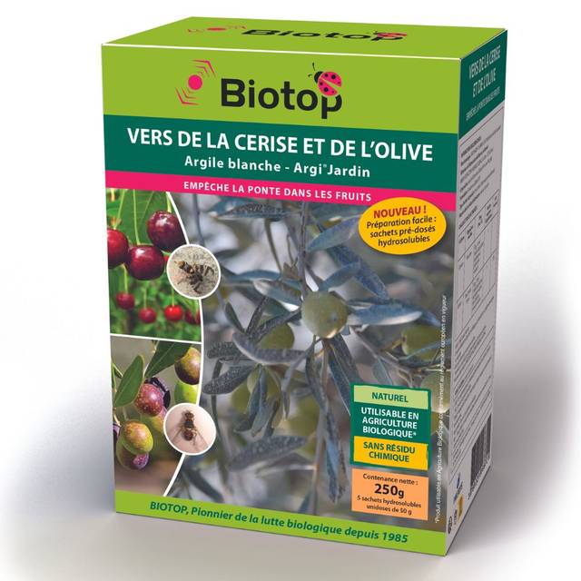 Argile Blanche à Séchage à L'air 10 Lbs (4,5 Kg) - Avec 40 Outils De Poterie - Pour Sculpture, Modelage, DIY - Débutants Et Confirmés