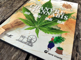 Chanvre et Cannabis