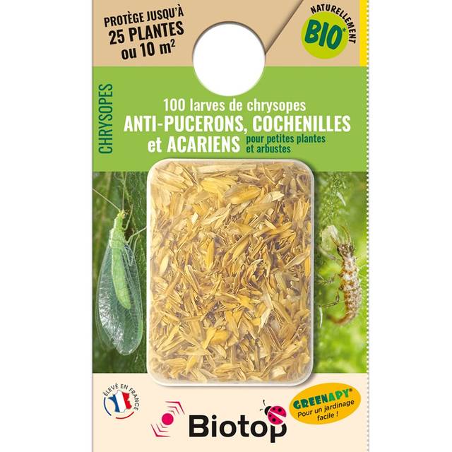 Chrysopes 100 larves Vivapack - BIOTOP