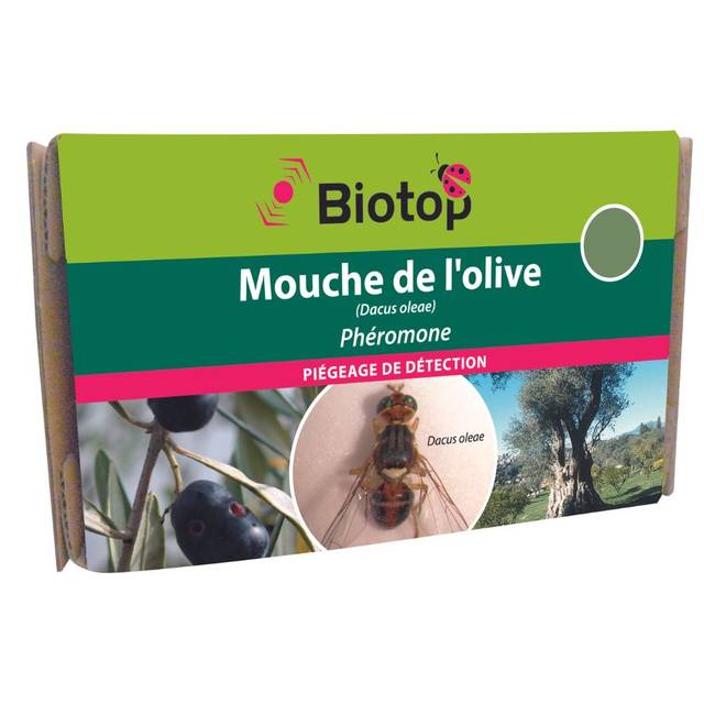 Phéromones Mouche de l'olive - BIOTOP