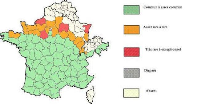 Aire de répartition du lézard vert en France