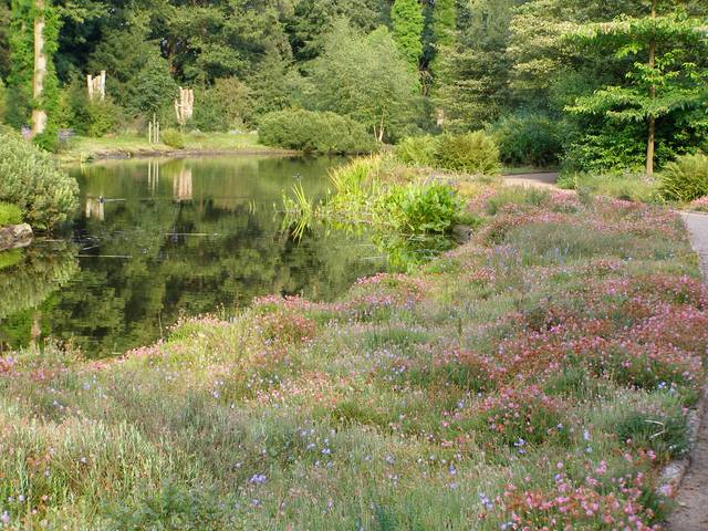Vue du bassin à De Braak (Heemparken in Amstelveen)