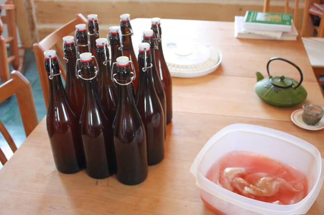 Kombucha fait maison prêt à être stocké au réfrigérateur