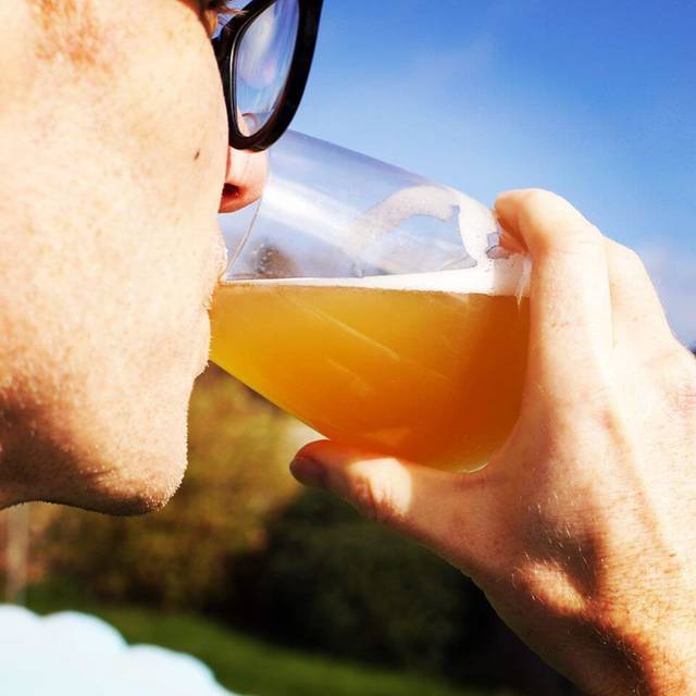 Kombucha
