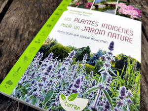 Les plantes indigènes pour un jardin nature