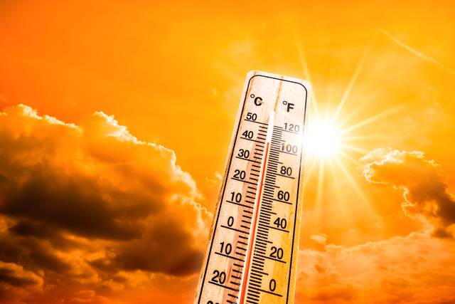Canicule