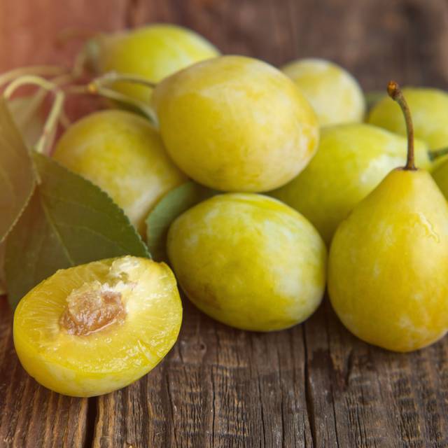Prunes 'Goldust' (Photo non contractuelle / Adobe stock)