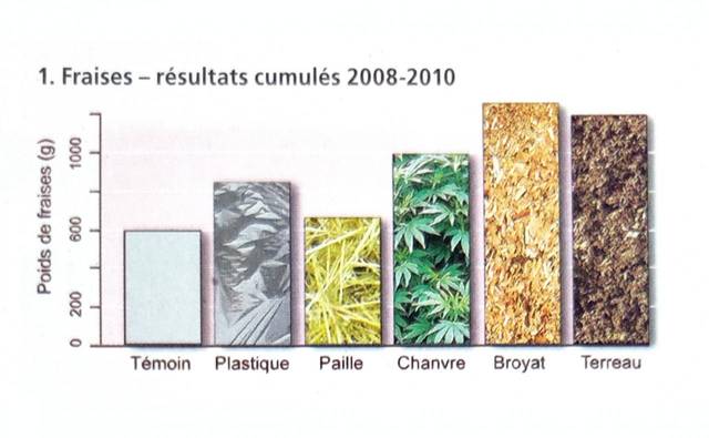 Tests d'efficacité de différents paillages