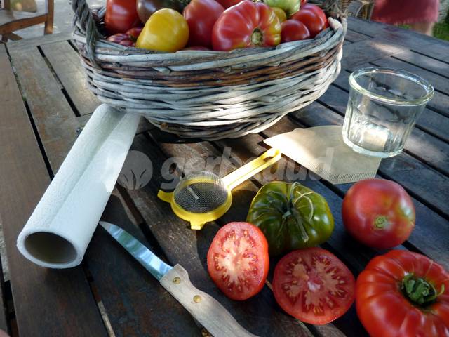 Récoltez vos graines de tomates