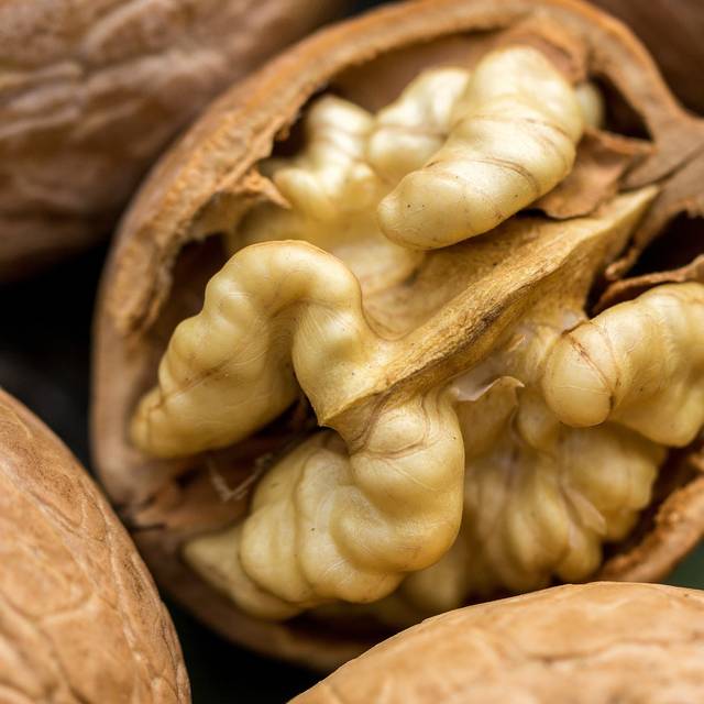 Noix Franquette (Tim Ulama / Pixabay)