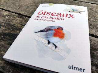 Les oiseaux de nos jardins et leur vie secrète