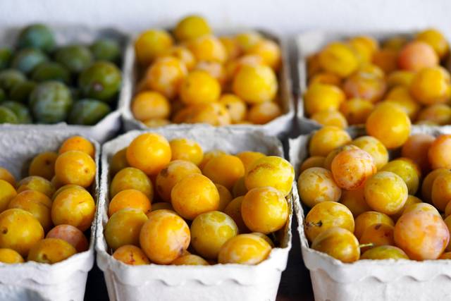 Mirabelles en barquettes