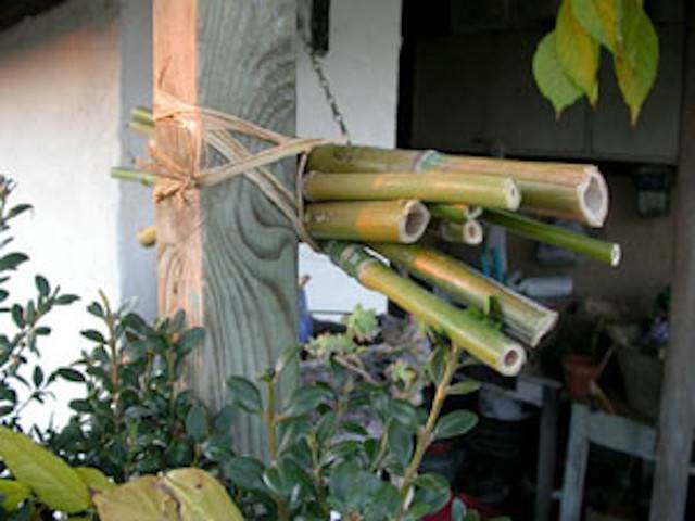 Nichoir à insectes maison