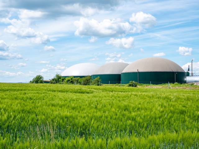 Usine de biogaz dans un champ de céréales (Allemagne)